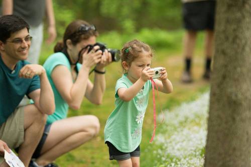 A young girl takes a photo with a camera while adults nearby watch and take pictures in a green outdoor setting.