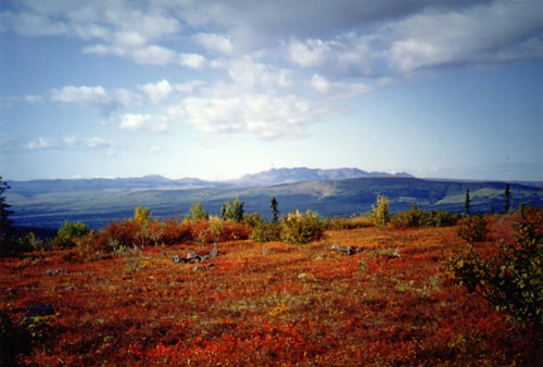 A vibrant landscape with red and orange foliage, rolling hills, and a cloudy blue sky in the background.