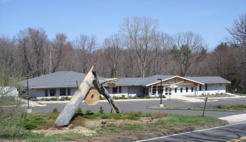 A modern building surrounded by trees, featuring a large, cut tree trunk in the foreground and a clear blue sky.