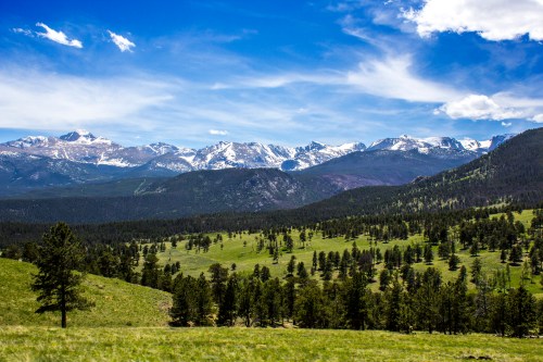A scenic view of green meadows and dense forests with snow-capped mountains under a bright blue sky.