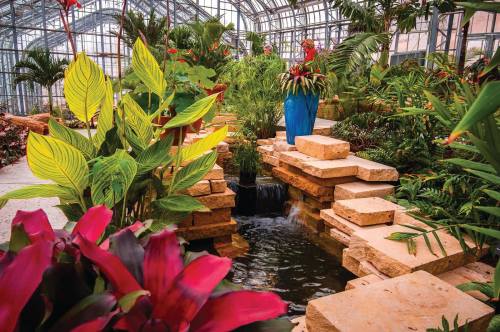 A lush greenhouse filled with vibrant plants, flowers, and a small waterfall flowing over stone steps.