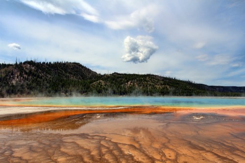 Vibrant geothermal pool with colorful mineral deposits, surrounded by mist and forested hills under a cloudy sky.