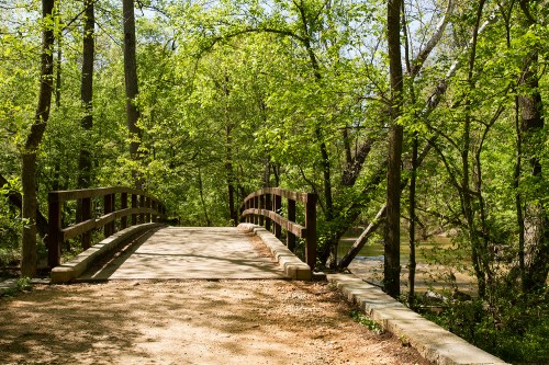 A wooden bridge over a dirt path, surrounded by lush green trees and a serene natural setting.