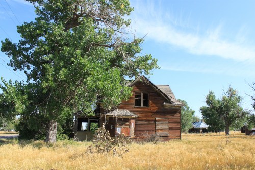 Abandoned wooden house surrounded by tall grass and trees under a clear blue sky.