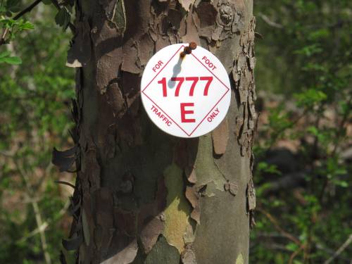 A white diamond-shaped tag on a tree trunk, marked "FOR POST 1777 E TRAFFIC ONLY."