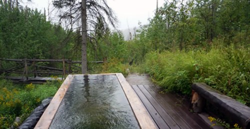 A serene outdoor scene featuring a wooden deck with a water feature, surrounded by lush greenery and trees.