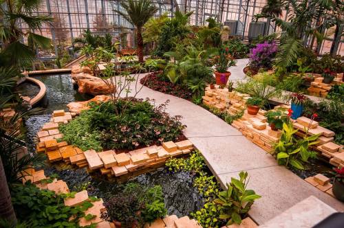 Lush greenhouse garden with winding paths, vibrant plants, and a tranquil water feature surrounded by stone and greenery.