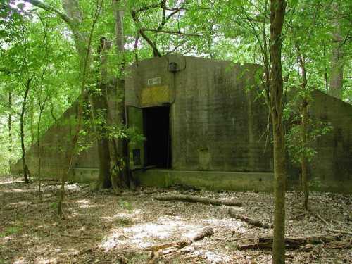 Abandoned concrete structure surrounded by dense green forest and trees.