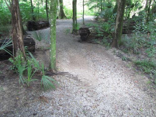 A winding gravel path through a lush green forest, surrounded by trees and vegetation.