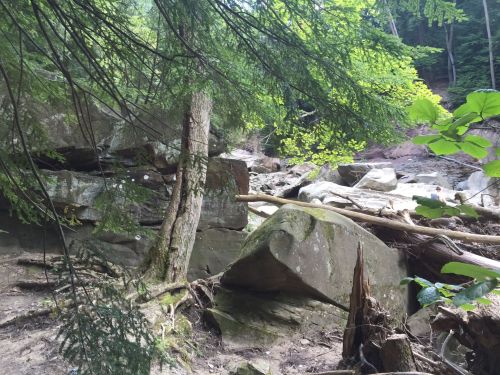 A serene forest scene featuring large rocks, trees, and a riverbed surrounded by lush greenery.