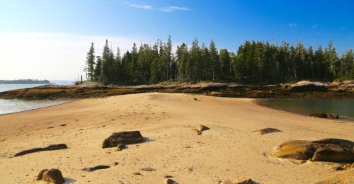 A sandy beach with scattered rocks, bordered by a forest of pine trees under a clear blue sky.