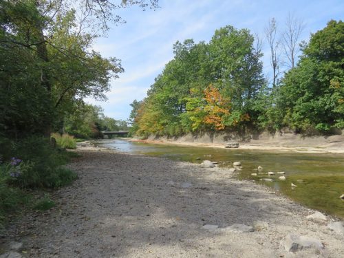 A serene riverbank scene with trees showing autumn colors and a clear blue sky above.
