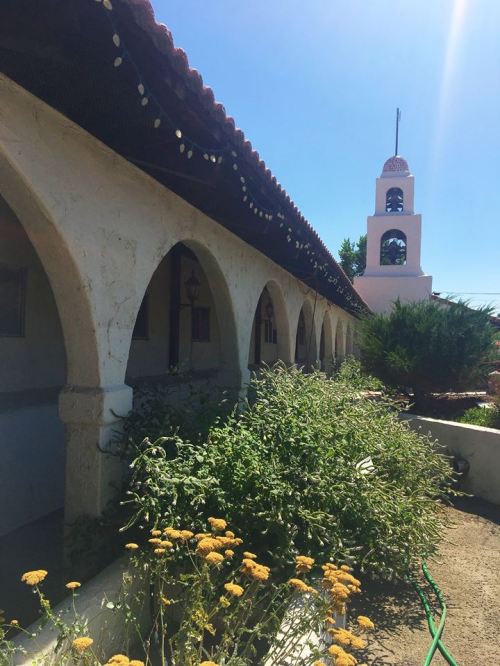 A sunlit courtyard with arched columns and a bell tower in the background, surrounded by greenery and flowers.
