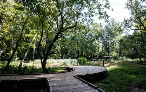 A winding wooden path through a lush green forest with trees and open grassy areas.