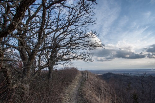 A winding path along a ridge, framed by bare trees, with a cloudy sky and distant hills in the background.