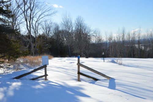 A snowy landscape with wooden posts marking a path, surrounded by bare trees under a clear blue sky.
