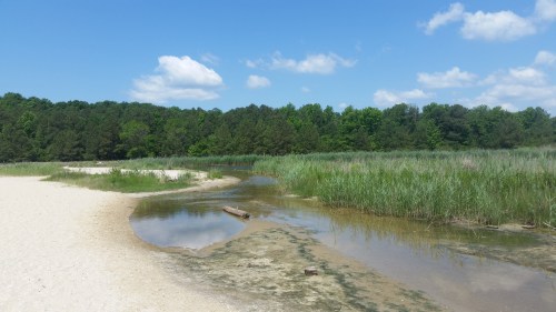 A serene landscape featuring a sandy beach, a winding stream, and lush green trees under a clear blue sky.