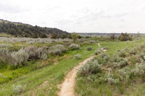 A winding dirt path through a lush green landscape with shrubs and rolling hills under a cloudy sky.