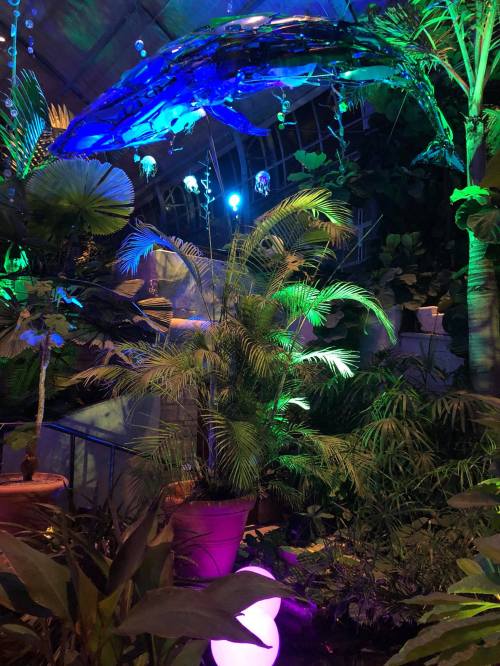 A vibrant indoor garden with colorful lighting, featuring a large whale sculpture suspended above lush greenery.