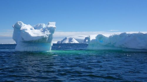 Icebergs float in a calm ocean under a clear blue sky, with distant mountains visible on the horizon.