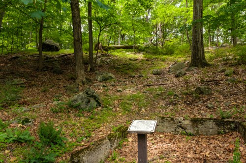 A wooded area with green foliage, rocks, and a sign on a post in the foreground, surrounded by fallen leaves.