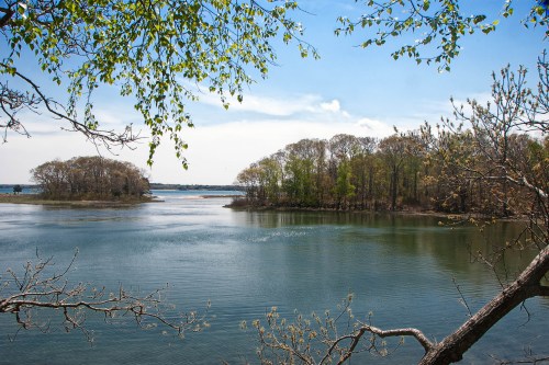 A serene view of a calm lake surrounded by lush greenery and trees under a clear blue sky.