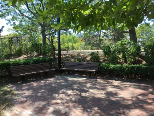 A peaceful park scene featuring two wooden benches surrounded by greenery and trees on a sunny day.