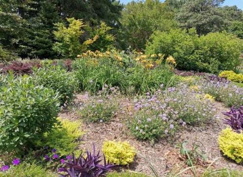 A vibrant garden filled with colorful flowers, including yellow lilies and purple blooms, surrounded by lush greenery.