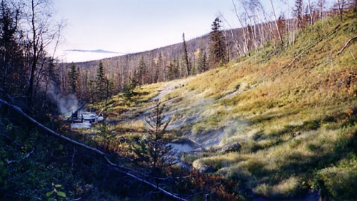 A serene landscape featuring a grassy slope, scattered trees, and mist rising in a forested area.
