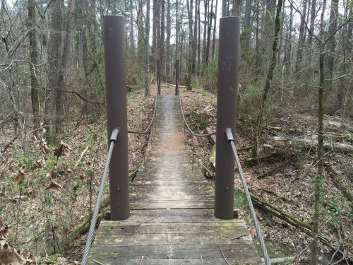 A wooden bridge with metal posts spans a forested path, surrounded by trees and underbrush.