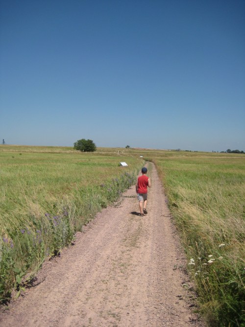 A child walks down a dirt path through a grassy field under a clear blue sky.