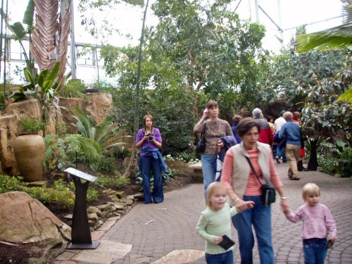 A lush indoor garden with visitors walking along a winding path surrounded by plants and trees.