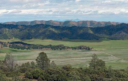 A panoramic view of rolling green hills and distant mountains under a cloudy sky, with trees in the foreground.