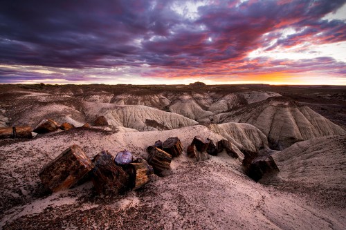 A stunning landscape of colorful clouds over a desert terrain with petrified wood scattered across the sandy ground.