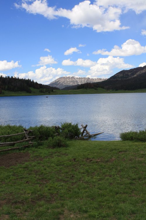 A serene lake surrounded by green grass and mountains, under a blue sky with fluffy white clouds.