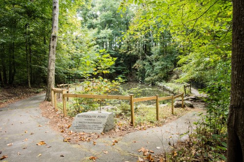 A serene forest scene featuring a pond surrounded by trees, with a wooden fence and a sign marking "Hutterman Pond."