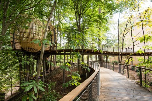 A wooden walkway leads to a unique treehouse nestled among lush green trees.