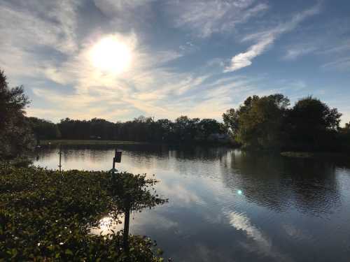 A serene lake scene with trees, reflecting clouds, and a bright sun in a clear blue sky.