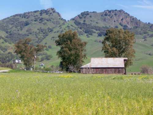 A rustic barn surrounded by green hills and trees under a clear blue sky. Wildflowers dot the grassy field.