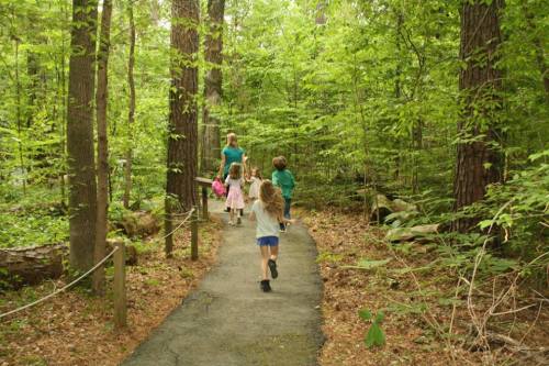 A group of children and an adult walk along a path in a lush green forest.