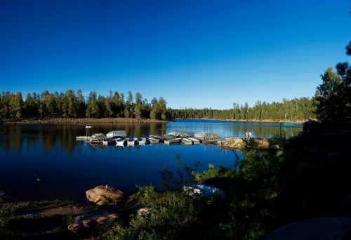 A serene lake surrounded by trees, with boats docked on a calm, reflective water surface under a clear blue sky.