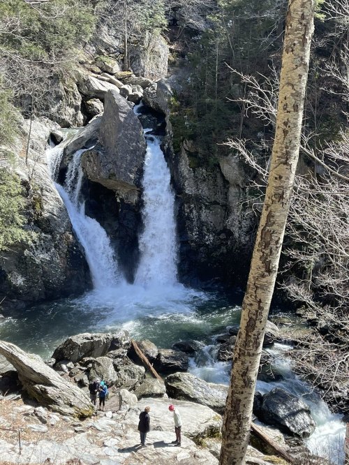 A scenic waterfall cascades into a rocky pool, surrounded by trees and people admiring the view.