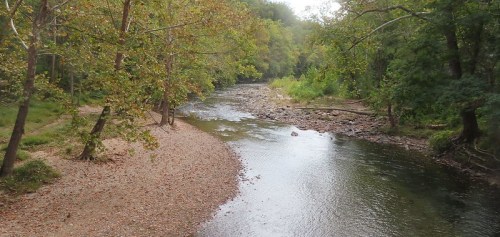 A serene river winding through a forested area, with sandy banks and lush greenery on either side.