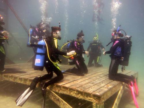 A group of divers in wetsuits and gear gather around a wooden platform underwater, surrounded by bubbles.