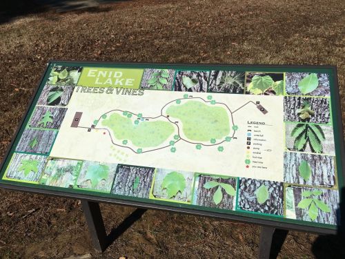 Map of Enid Lake highlighting trees and vines, with images of leaves and bark surrounding the main map.