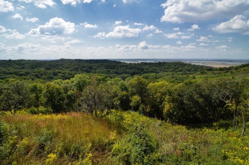 A scenic view of lush green hills and trees under a bright blue sky with fluffy clouds.