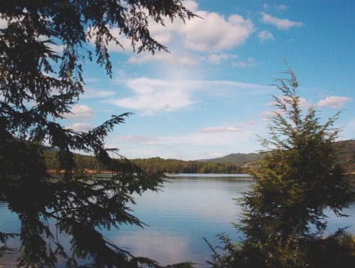 A serene lake surrounded by trees under a blue sky with fluffy clouds and distant hills.