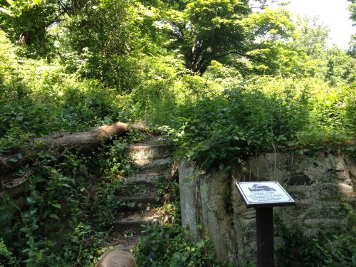 Overgrown stone steps lead up through lush greenery, with a sign partially visible in the foreground.