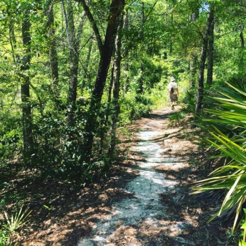 A winding dirt path through a lush green forest, with a person walking in the distance.