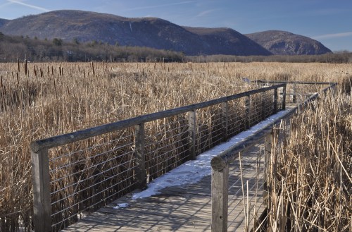 A wooden boardwalk leads through tall grasses, with mountains in the background under a clear blue sky.